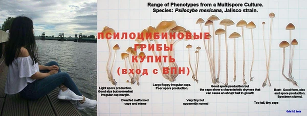 синтетический гашиш Пестово